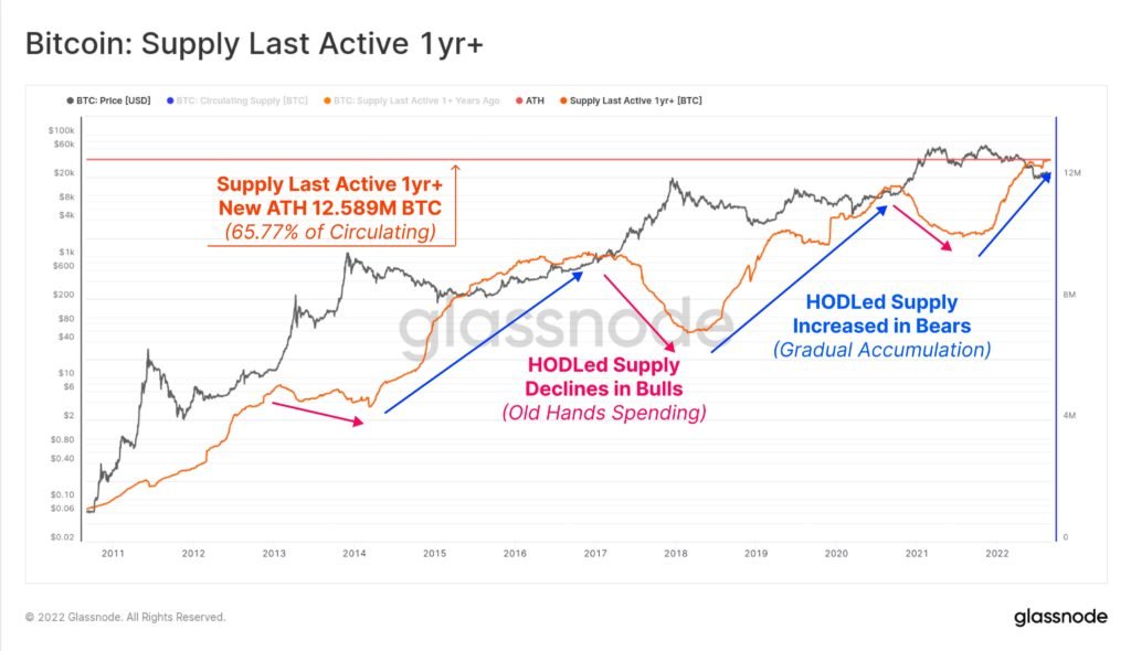 Market Research Report: Volatility Rises with BTC Popping from the Grave as Stocks Rebound and Oil Slips - BTC old hands HODL 1024x590